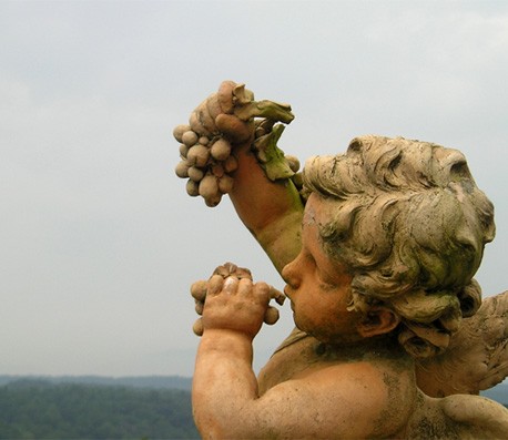 云呼试用三分钟