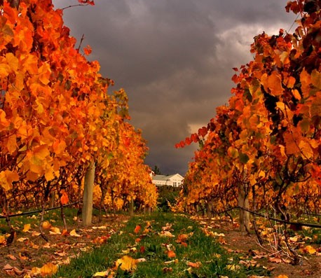 电话网页在线轰炸源码