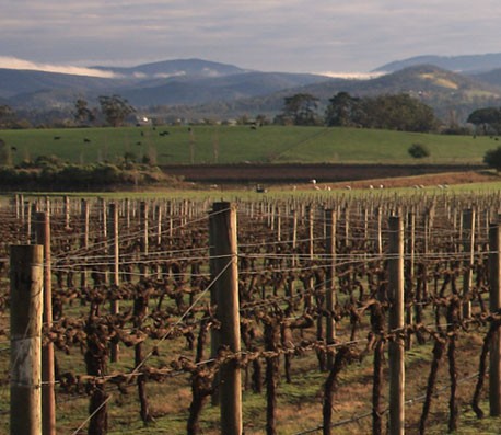 令人向往的短信测压app